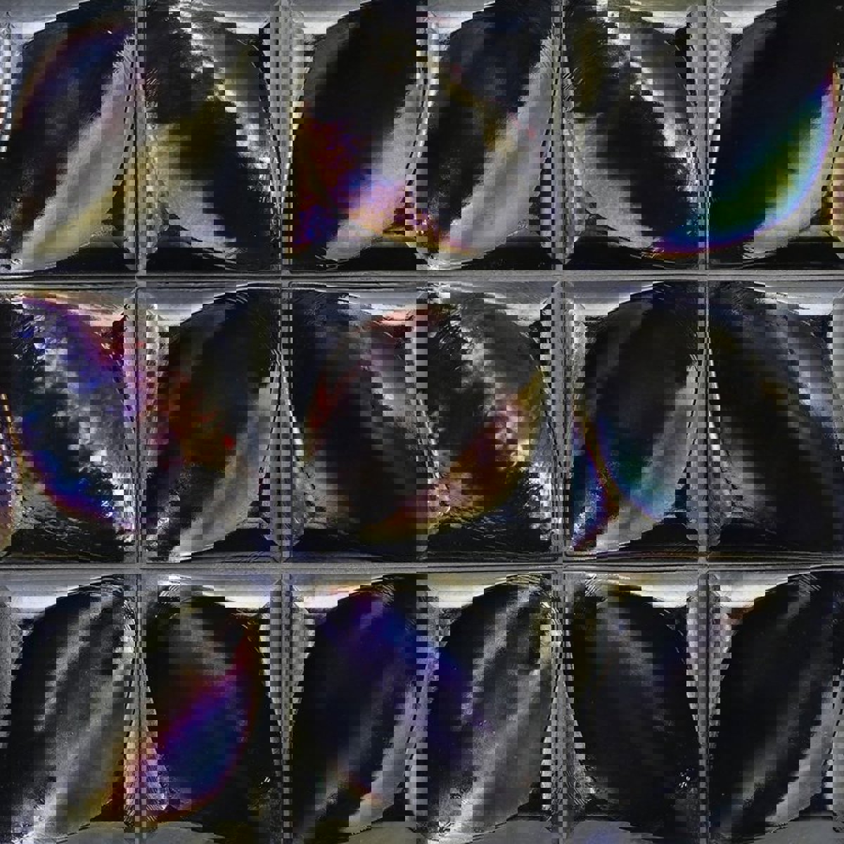 Origami Field - Lacuna