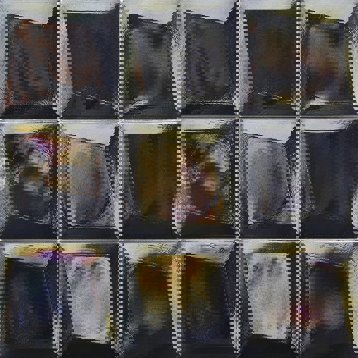 Origami Field - Trapeze